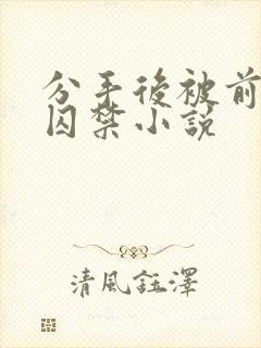 分手后被前男友囚禁小说