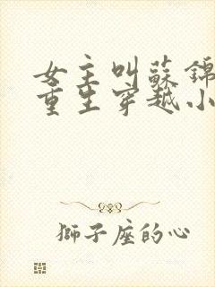 女主叫苏锦什么重生穿越小说封面