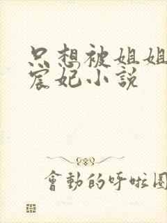 只想被姐姐惩罚宸妃小说