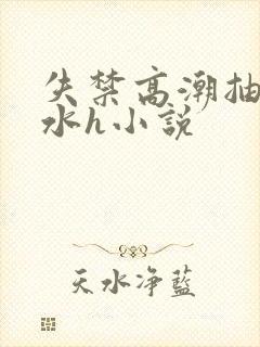 失禁高潮抽搐喷水h小说