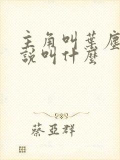 主角叫叶尘的小说叫什么