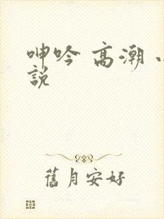 呻吟 高潮 小说