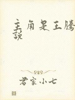 主角是王腾的小说封面