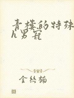 青楼的特殊调教h男宠