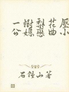 一树梨花压海棠公媳恋曲小说免费阅读