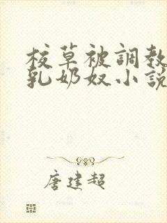 校草被调教成大乳奶奴小说