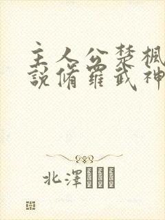 主人公楚枫的小说修罗武神