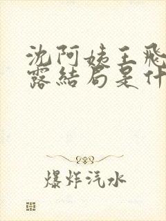 沈阿姨王飞李露露结局是什么