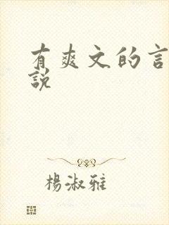 有爽文的言情小说
