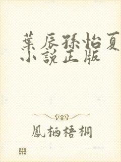 叶辰孙怡夏若雪小说正版