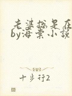 老婆总是在站姐by海棠小说免费阅读封面