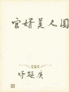 官婿美人图安江封面