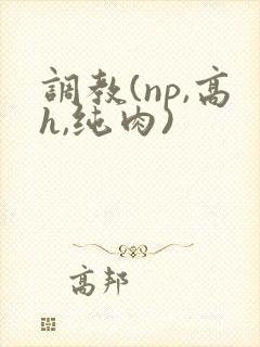 调教(np,高h,纯肉)