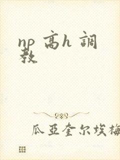 np 高h 调教