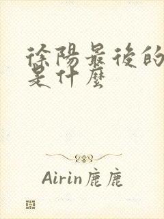 徐阳最后的结局是什么