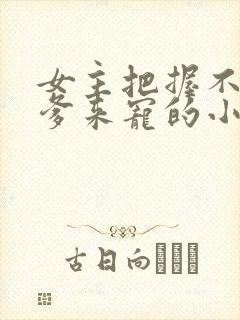 女主把握不住让爹来宠的小说