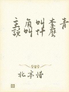 主角叫李青的小说叫什么封面