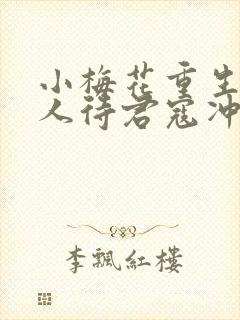 小梅花重生之美人待君寇冲