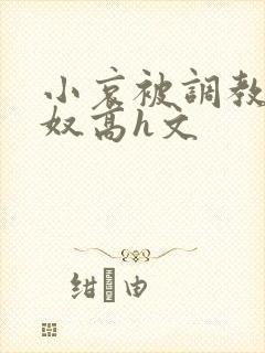 小哀被调教成肉奴高h文