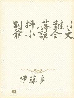 别抖,落难小少爷小说全文免费阅读