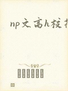 np文高h校花