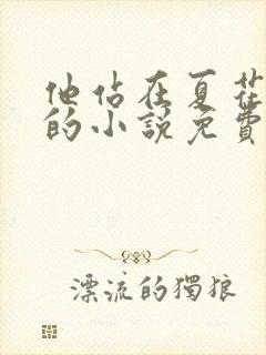 他站在夏花绚烂的小说免费