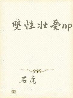 双性壮受np文