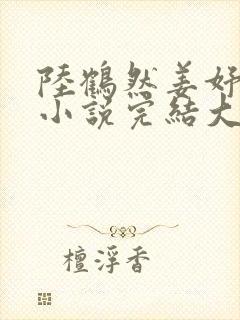 陆鹤然姜妤沈岚小说完结大结局