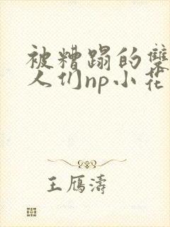 被糟蹋的双性美人们np小花猫