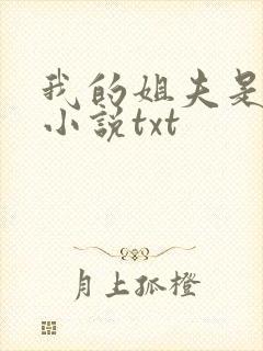 我的姐夫是太子小说txt封面