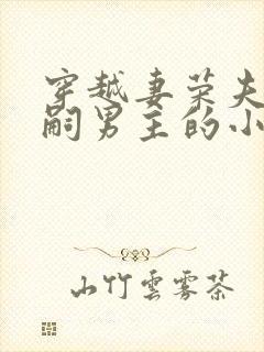 穿越妻荣夫贵绝嗣男主的小说