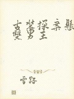 古装探案悬疑剧双男主封面