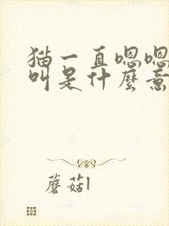 猫一直嗯嗯嗯的叫是什么意思