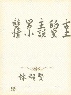 双男主的古代言情小说皇上和摄政王封面