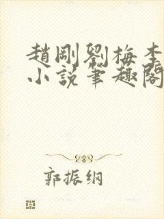 赵刚刘梅李晓雅小说笔趣阁封面