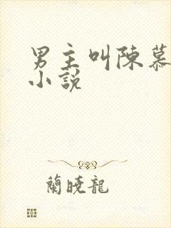 男主叫陈慕白的小说