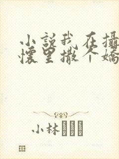 小说我在摄政王怀里撒个娇