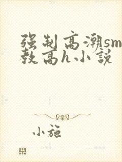 强制高潮sm调教高h小说封面