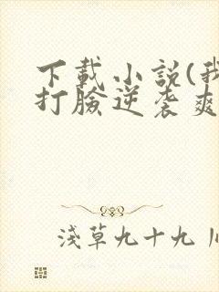 下载小说(我靠打脸逆袭爽文女主)