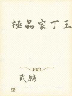 极品家丁玉