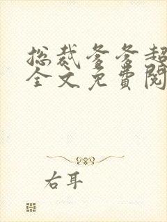 总裁爹爹超给力全文免费阅读