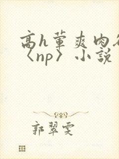高h荤爽肉欲文〈np〉小说
