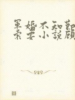 军婚不知节制地索要小说顾念