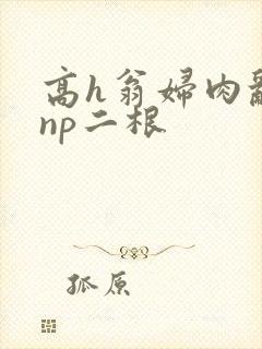 高h翁妇肉乱文np二根