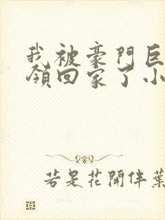 我被豪门巨佬们领回家了小说免费阅读封面