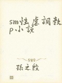 sm性虐调教np小说