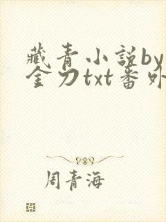 藏青小说by断金刀txt番外封面