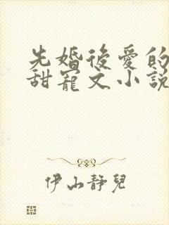 先婚后爱的古言甜宠文小说