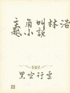 主角叫林浩的穿越小说