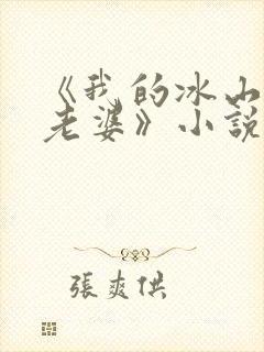 《我的冰山总裁老婆》小说